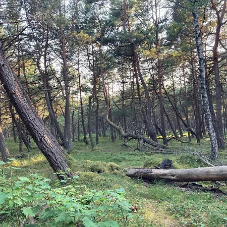 아파트 Z Jaskolka Pietro- Duzy 90 M2 Taras Smołdzino