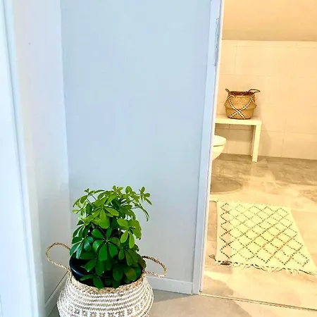 Z Jaskolka Pietro- Duzy 90 M2 Taras Smołdzino