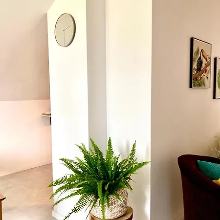 Z Jaskolka Pietro- Duzy 90 M2 Taras Apartman *