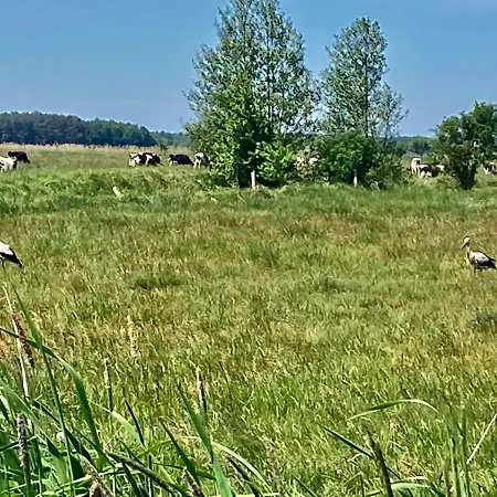 Z Jaskółką Piętro- Duży 90 M2 Taras * Smołdzino