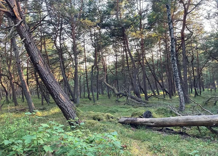 Apartamento Z Jaskółką Piętro- Duży 90 M2 Taras Smołdzino