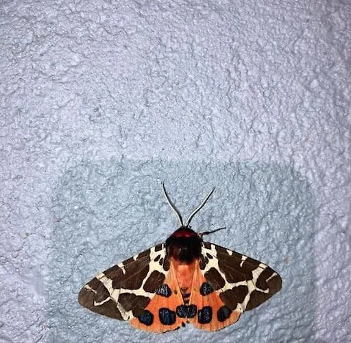 Z Jaskółką Piętro- Duży 90 M2 Taras Smołdzino