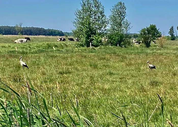 Z Jaskółką Piętro- Duży 90 M2 Taras * Smołdzino