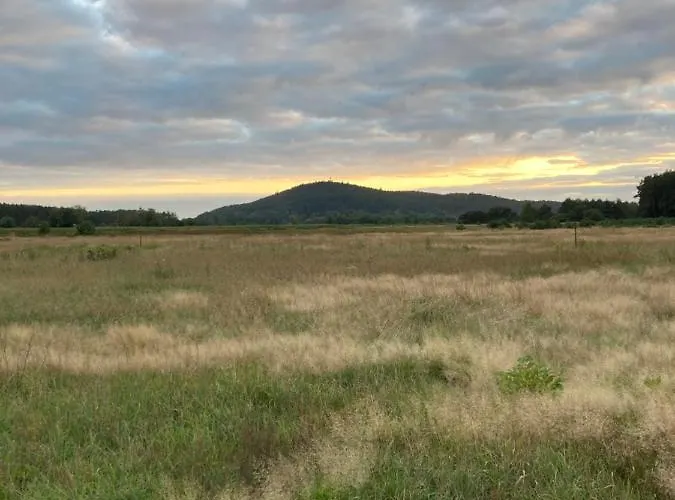 Z Jaskółką Piętro- Duży 90 M2 Taras *